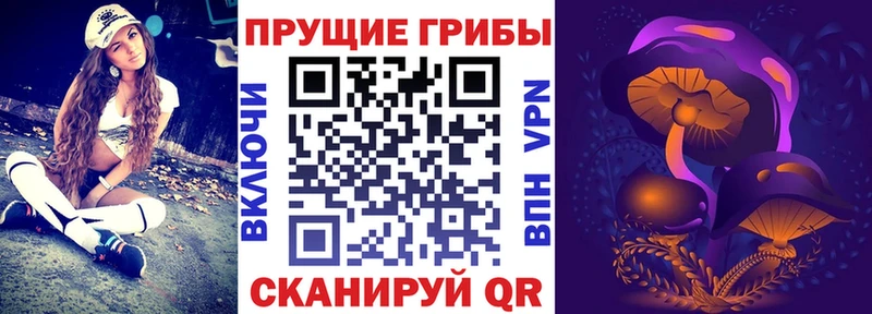 Купить закладки  Ленск  Галлюциногенные грибы Psilocybe 